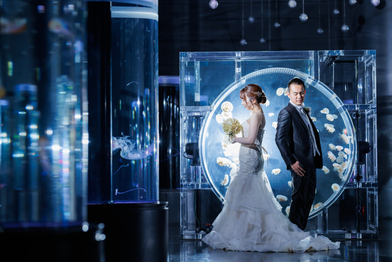 【10月11月撮影のこり僅か!】AQUA PARK品川/洋装ロケーションフォト*撮料+データ+衣装+美容付*