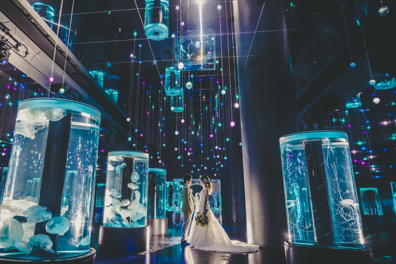 《水族館洋装ロケーションフォト+和装スタジオ》撮影+衣装+美容+データ付き