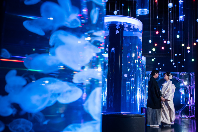 《AQUA PARK品川/和装ロケーションフォト》水族館の照明・水・魚たちが幻想的な雰囲気を演出*撮影+衣装+美容+データ付き◎