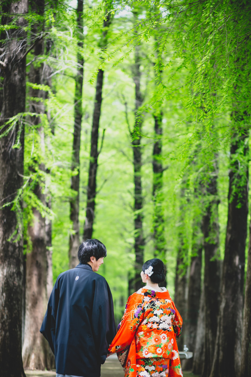 緑濃く、朱赤が映える古代ヒノキ