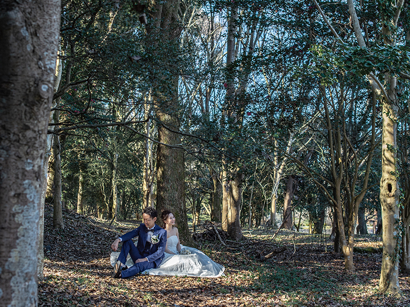 立田山の森の中で