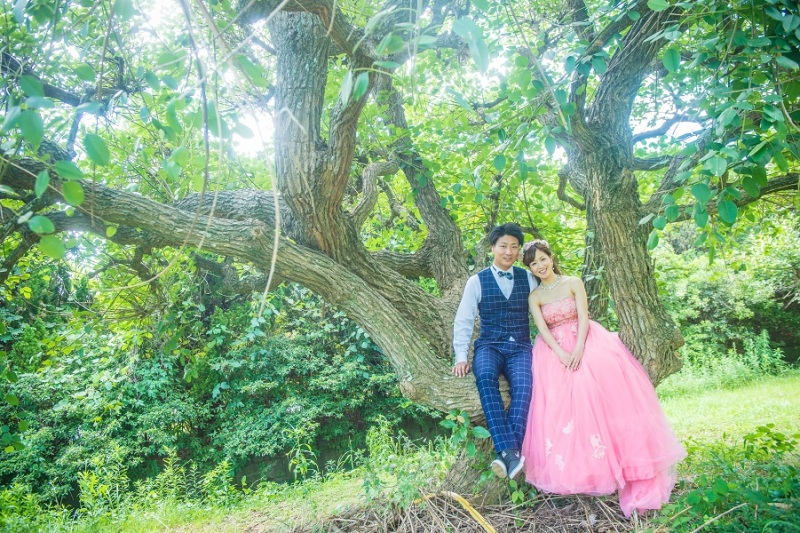 大きな木の下で