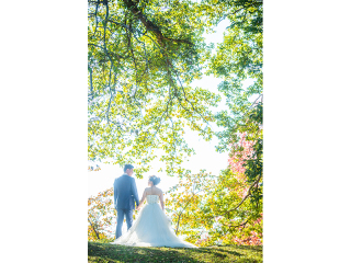 都会と自然がテーマです