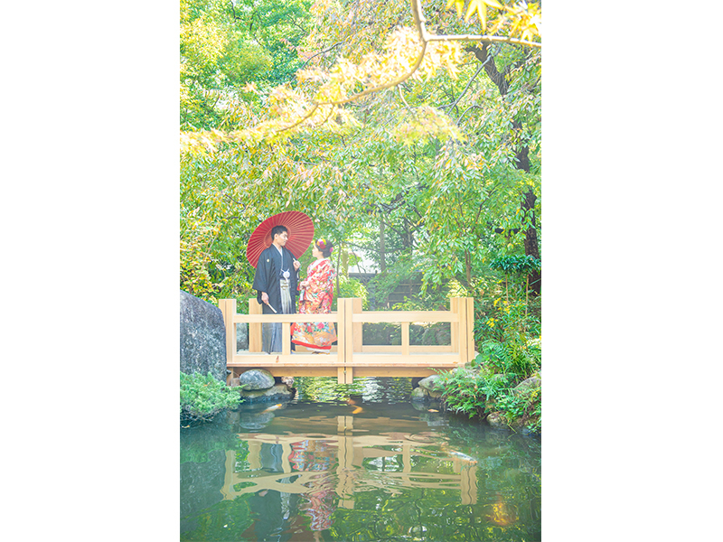 赤と緑のコントラスト