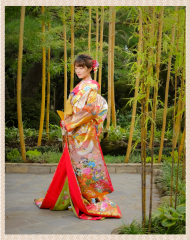 赤引き振袖+ゴールド打掛