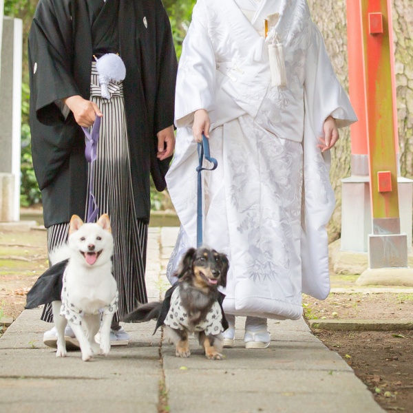 愛犬とも一緒に♪白無垢和装撮影