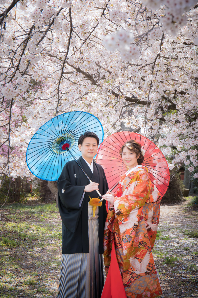 満開の桜の下で。