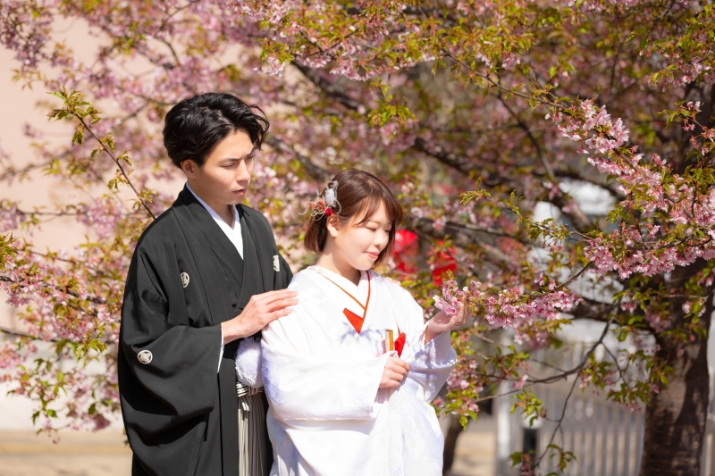 桜の枝をそっと引き寄せて…