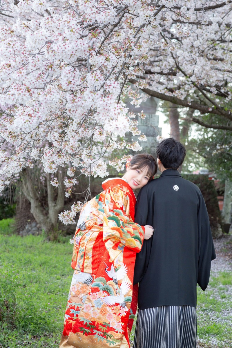 2着目でも桜に❀