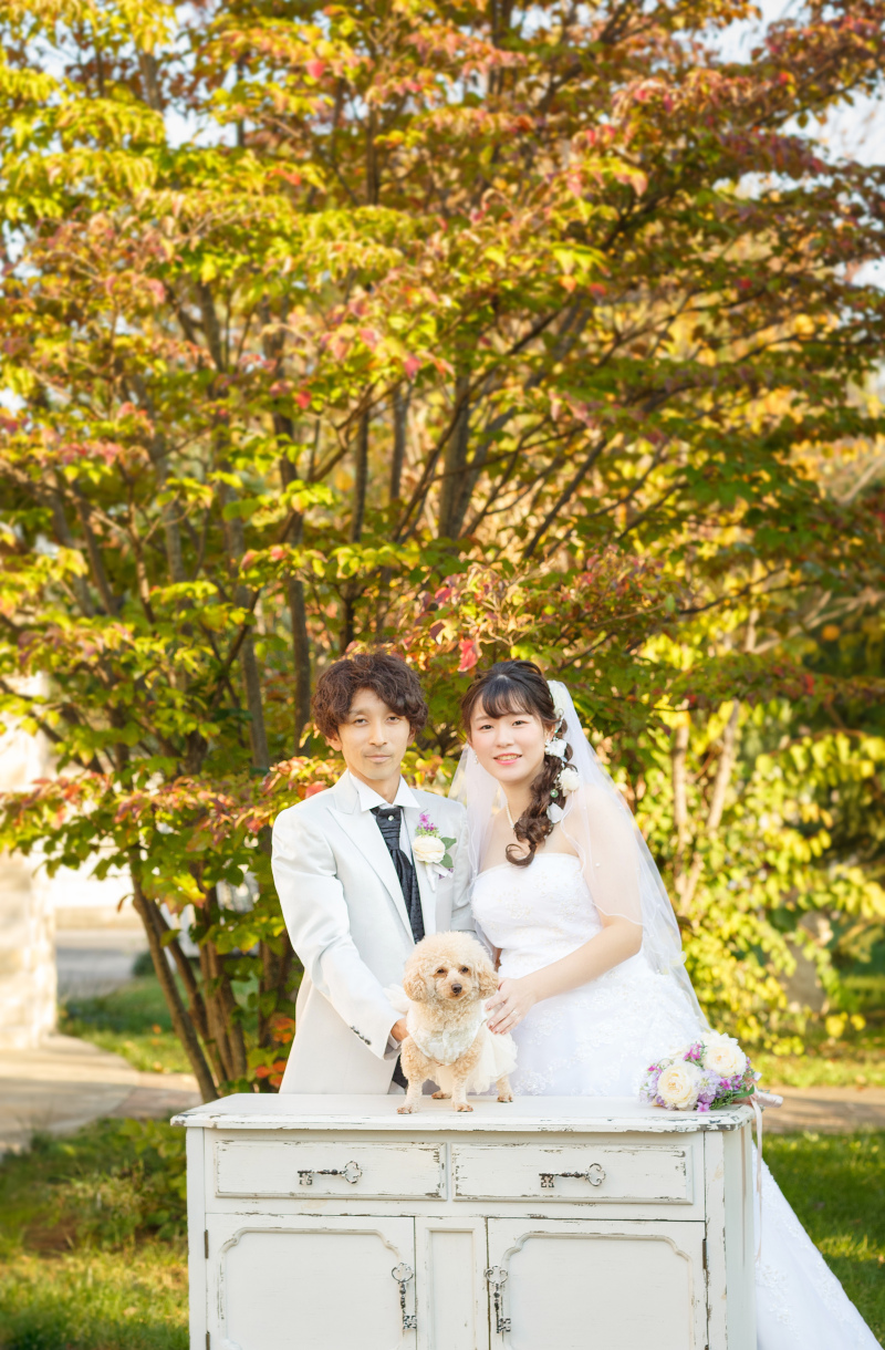 紅葉の木を背景に