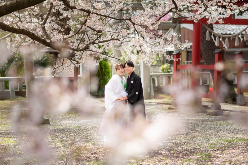 神社の桜