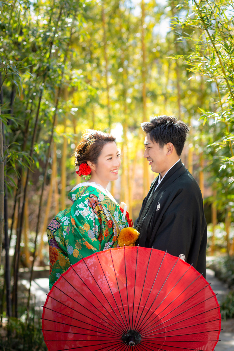 日差し溢れる竹林。