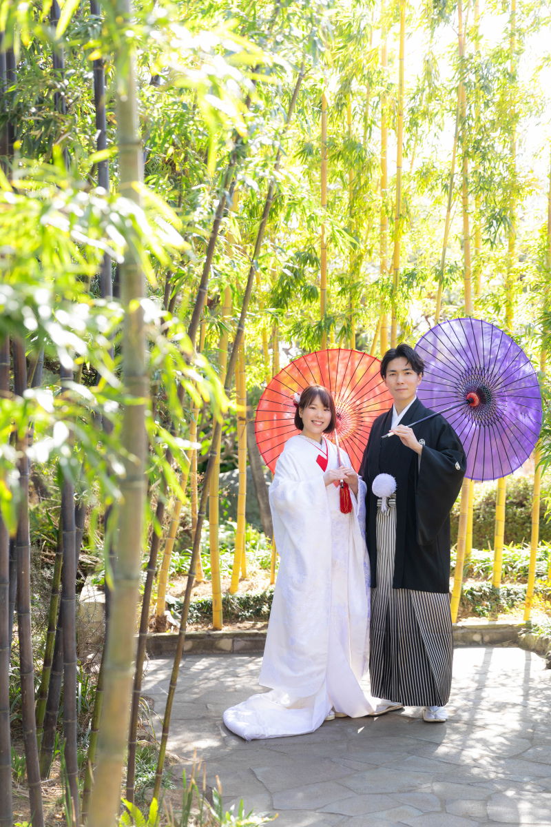 よく晴れた1日。