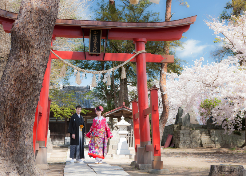 徒歩で行ける近隣神社で桜ロケ