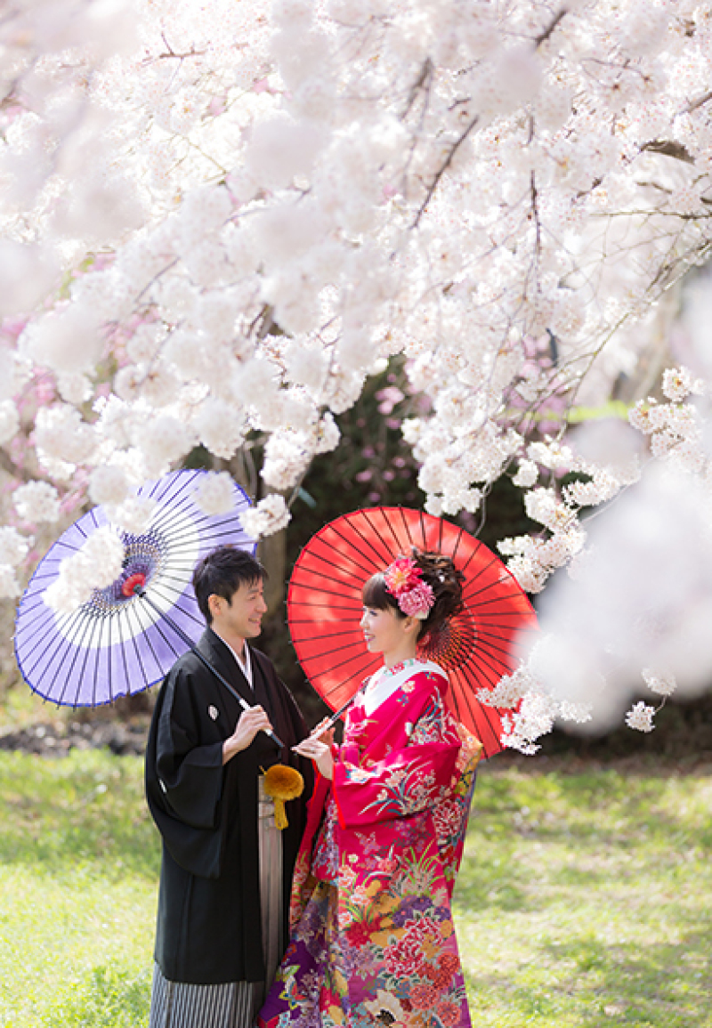 【河津桜ロケ】和装【館内ガーデン河津桜ロケ撮影料無料！日本庭園撮影も◇5０カット。お得な川津桜キャンペーン