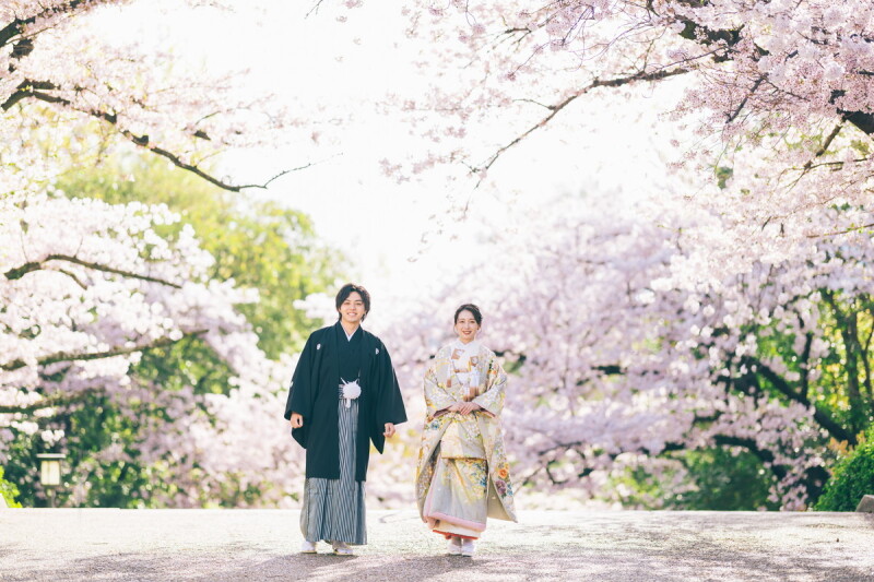 朝日に照らされる春の色