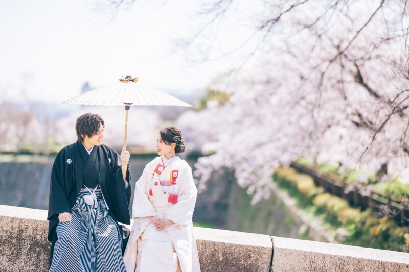 桜と和傘に春の光が差し込む