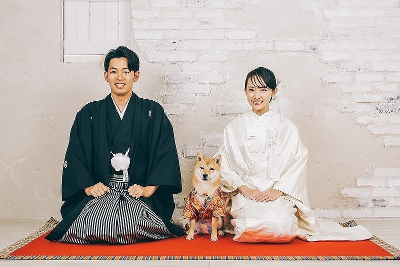 【小型犬・ネコなど・・】ペット撮影プラン　☆洋装1着データ100カット付き全データプラン