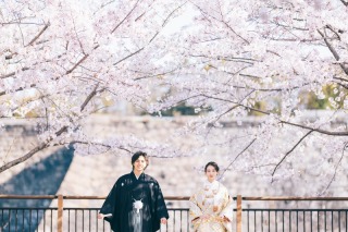 【超早割】※ご予約埋まり次第終了※　桜ロケーションプラン