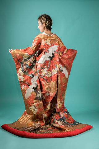 R103-赤地 光琳波文