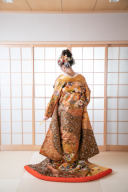 R093-黄土色鳳凰