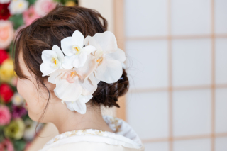 ヘアパーツアイデア　白　胡蝶蘭