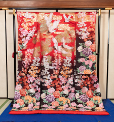 R080-赤ぼかし梅に牡丹