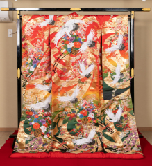 R050-花車に舞鶴オレンジ赤緑　犬抱っこOK