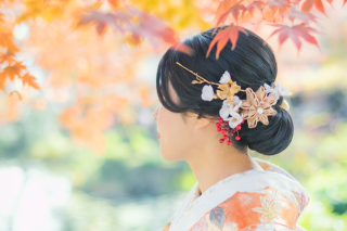 色打掛ヘアパーツ例2