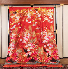 R46-B-鳥居ユキ-梅に舞鶴