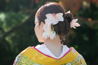 色打掛ヘアパーツ例