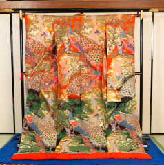 R069-オレンジ緑ボカシ孔雀