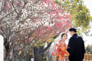 お雛さんの日　梅がいい感じでした