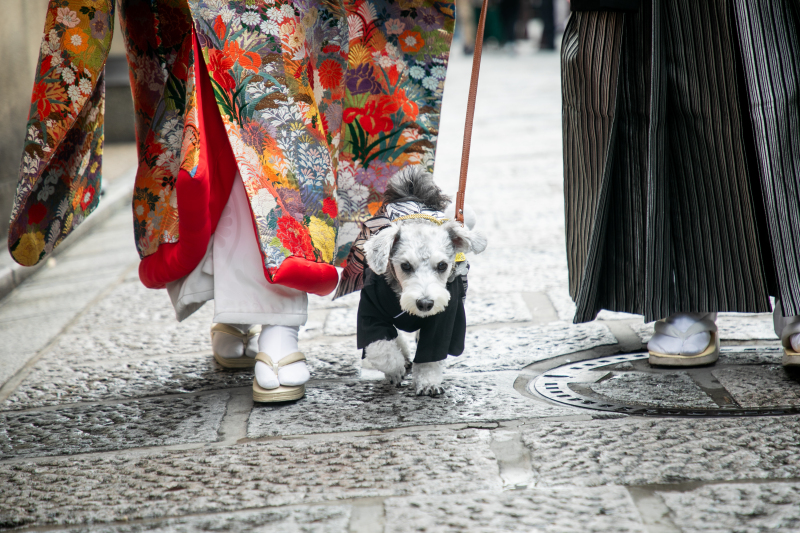 もはや主役！？