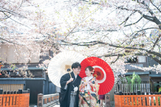 桜と若葉のロケ