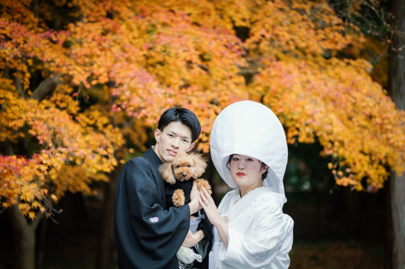 ワンちゃんと一緒に秋の岡崎を満喫