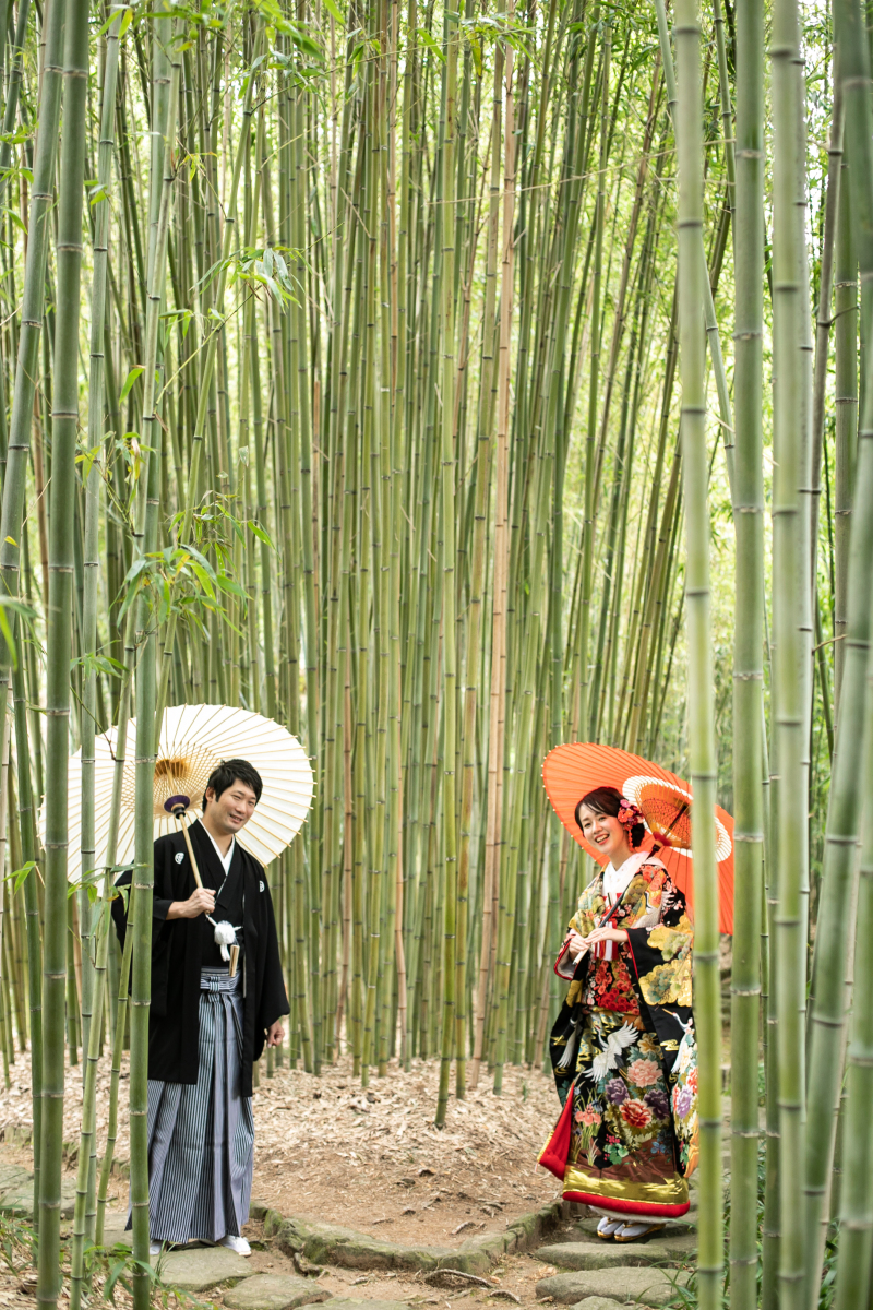 竹林からこんにちわ