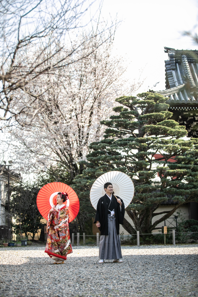 桜も最高だったのです