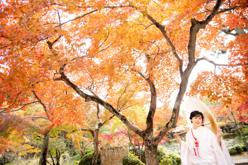 素敵に色づいている!