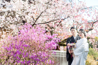 ロケ地２か所＋あざらし堂和室撮影プラン