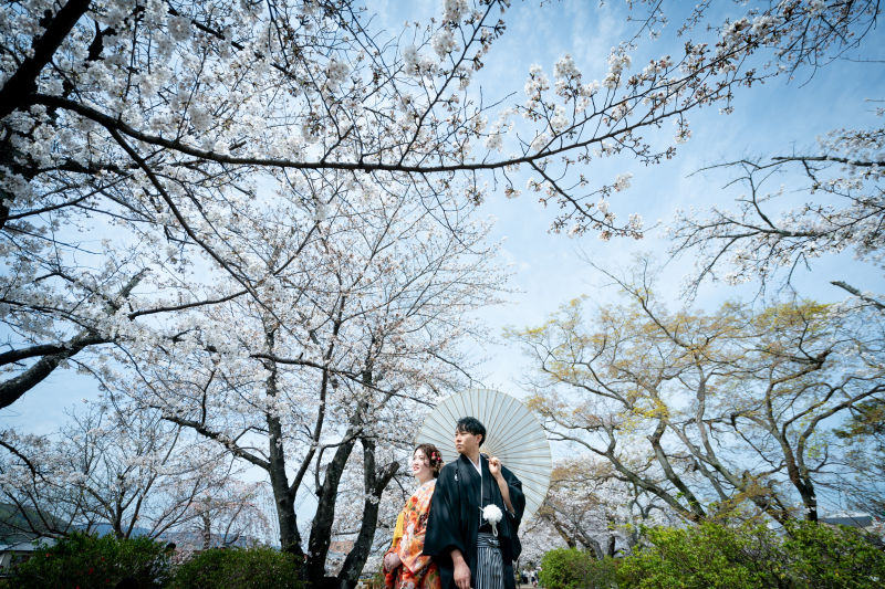 すばらしき撮影日和