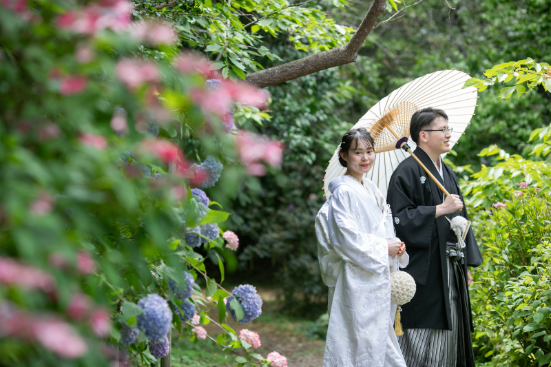 白無垢で紫陽花で