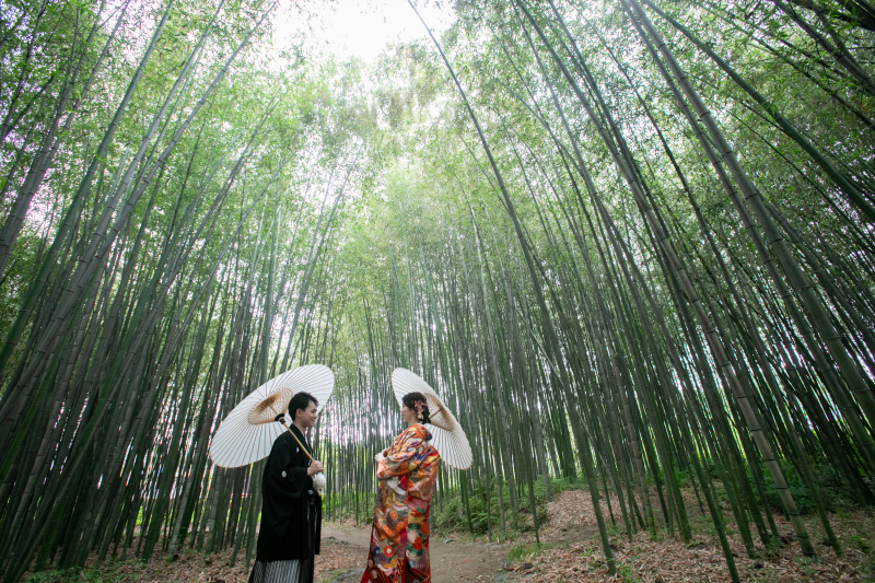 竹林もあるからね