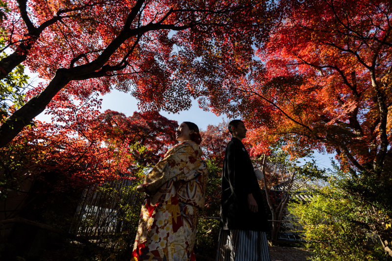 紅葉をながめよう