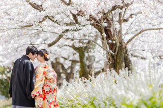 桜もりだくさんロケ