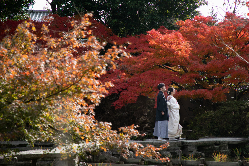 どこで撮影しても