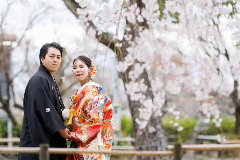 桜！さくら！サクラ！