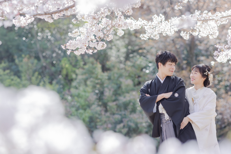 前にも後ろにも桜
