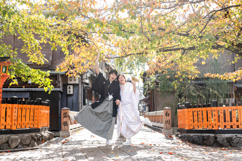 桜の木が色づいて