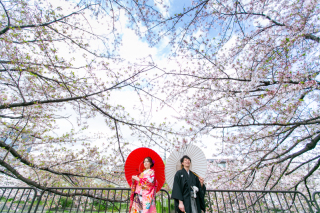 岡崎と嵐山でワンちゃん連れて桜撮影を